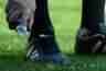 Signature Boots Fußball Teamsportprofis
